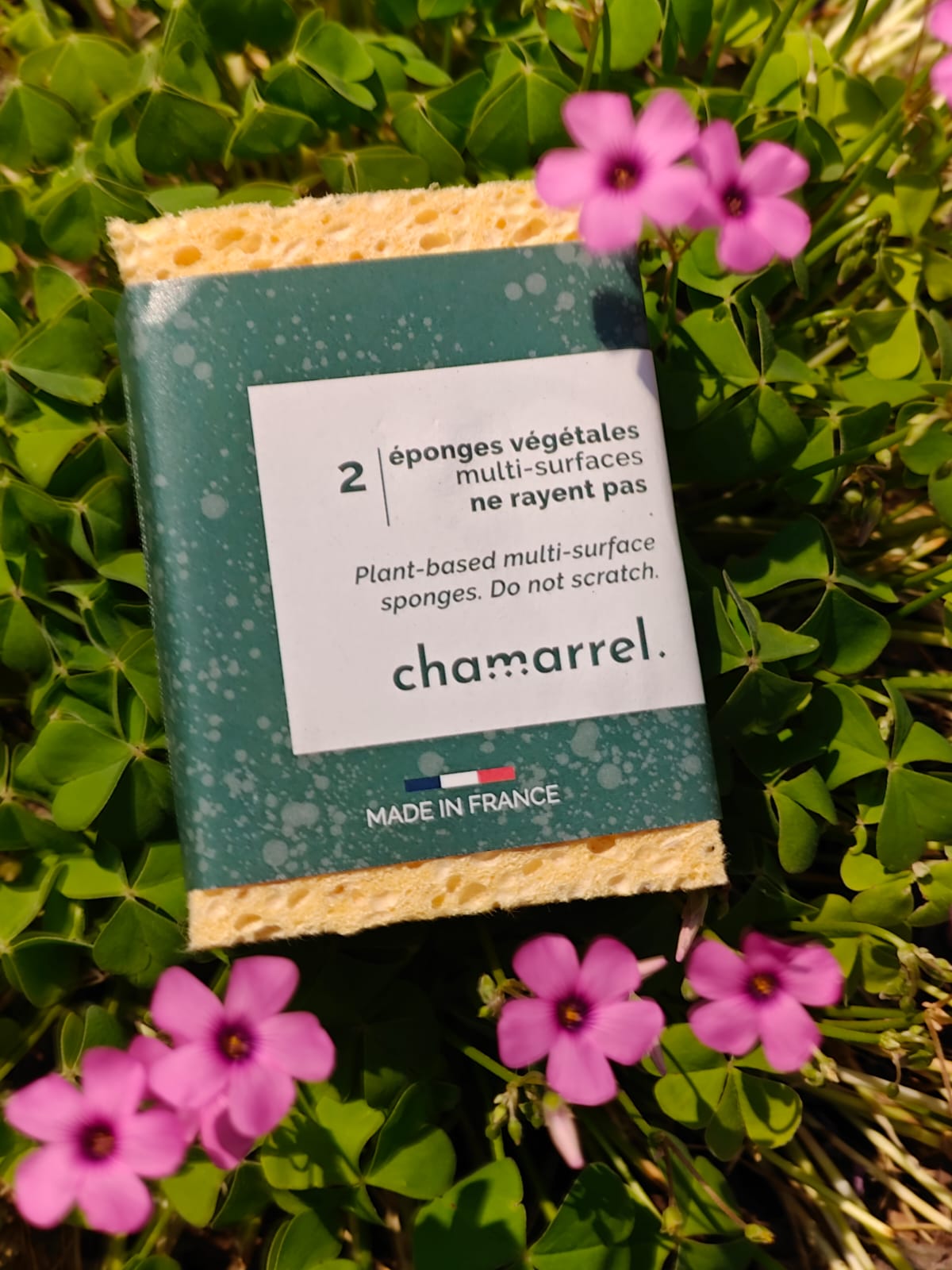 Spugne vegetali compostabili – 2 pezzi