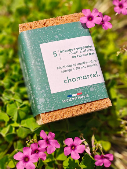 Spugne vegetali compostabili – 2 pezzi